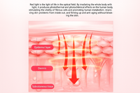 Red Light Therapy Capsule Designed for Full Body, 600W high-quality LEDs, Touchscreen Control
